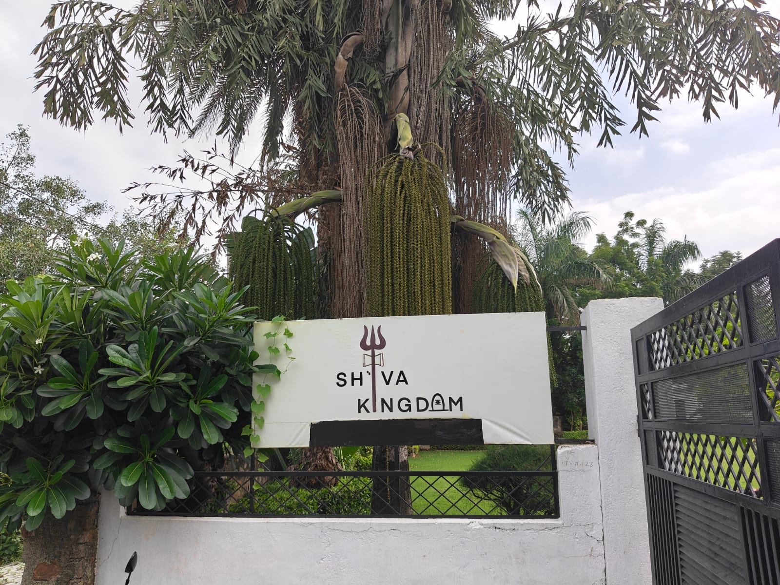 A view of the Shiva Kingdom property and its surroundings